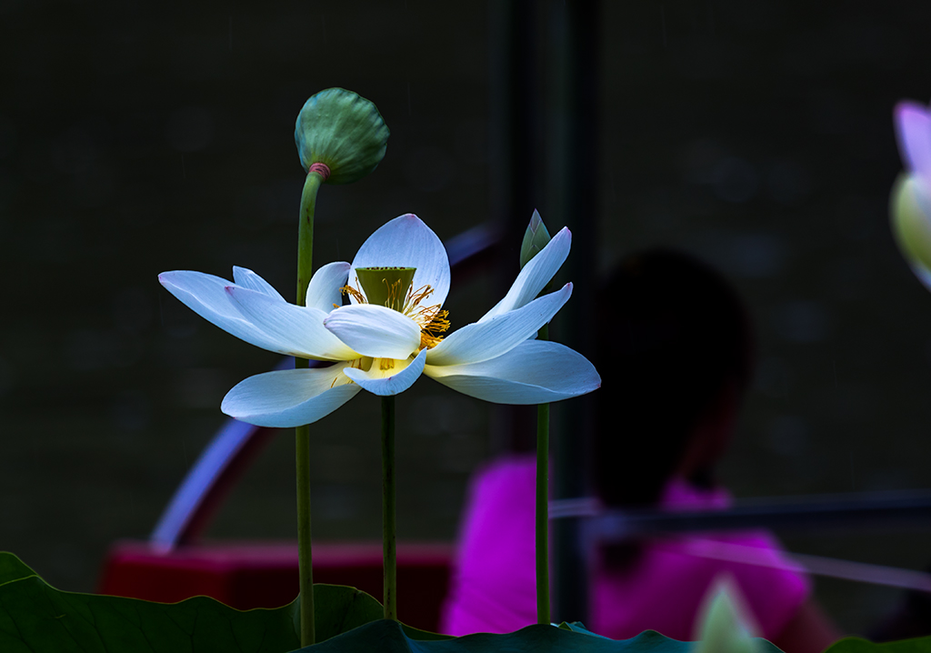 _LY62559副本2.jpg