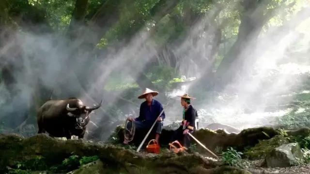 微信图片_20180710193208.jpg
