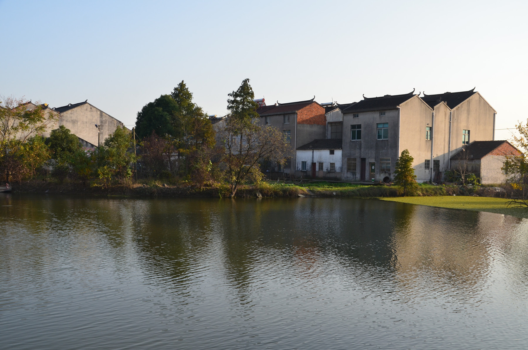 DSC_5072_副本.jpg