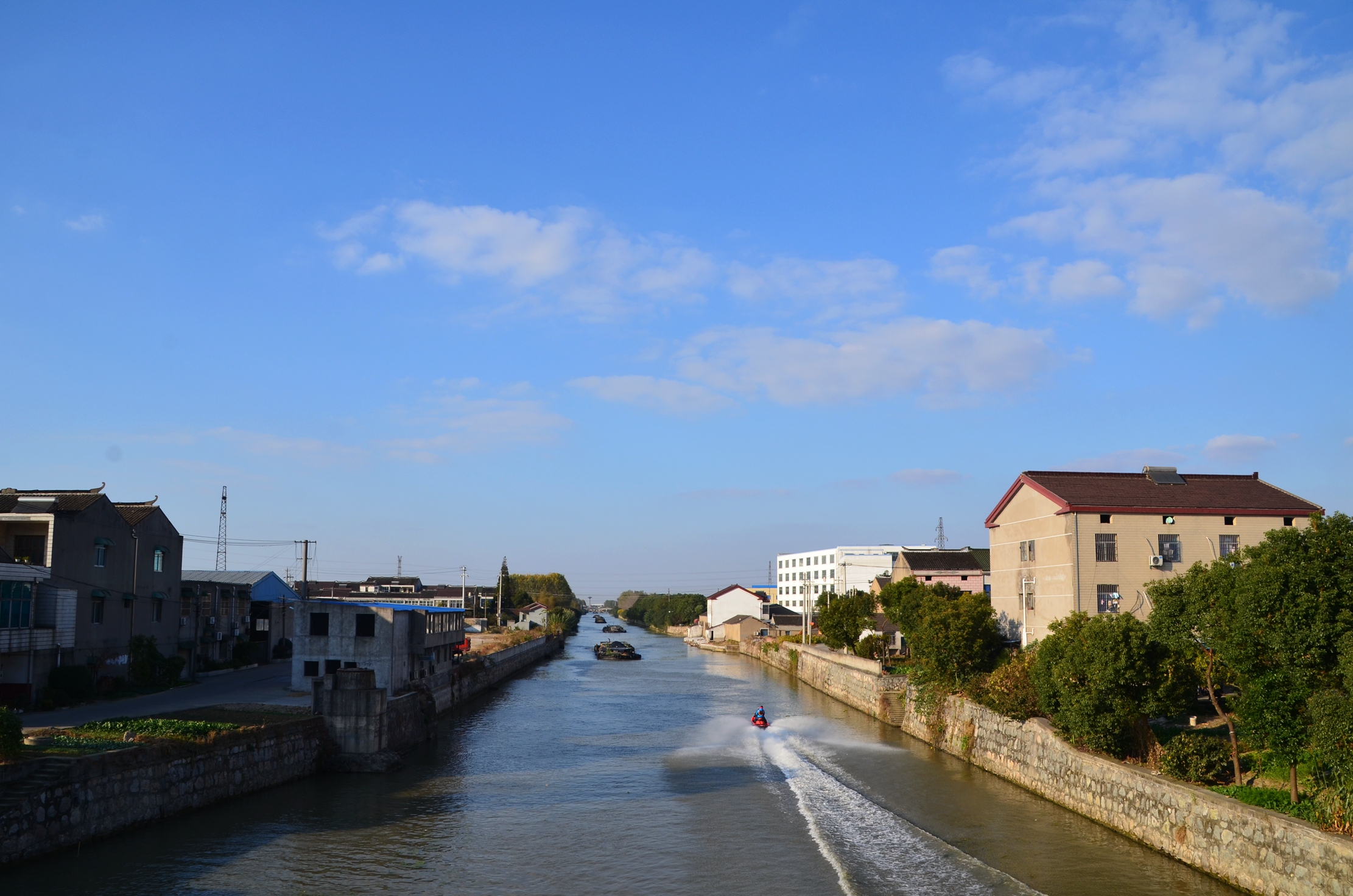 DSC_8220_副本.jpg