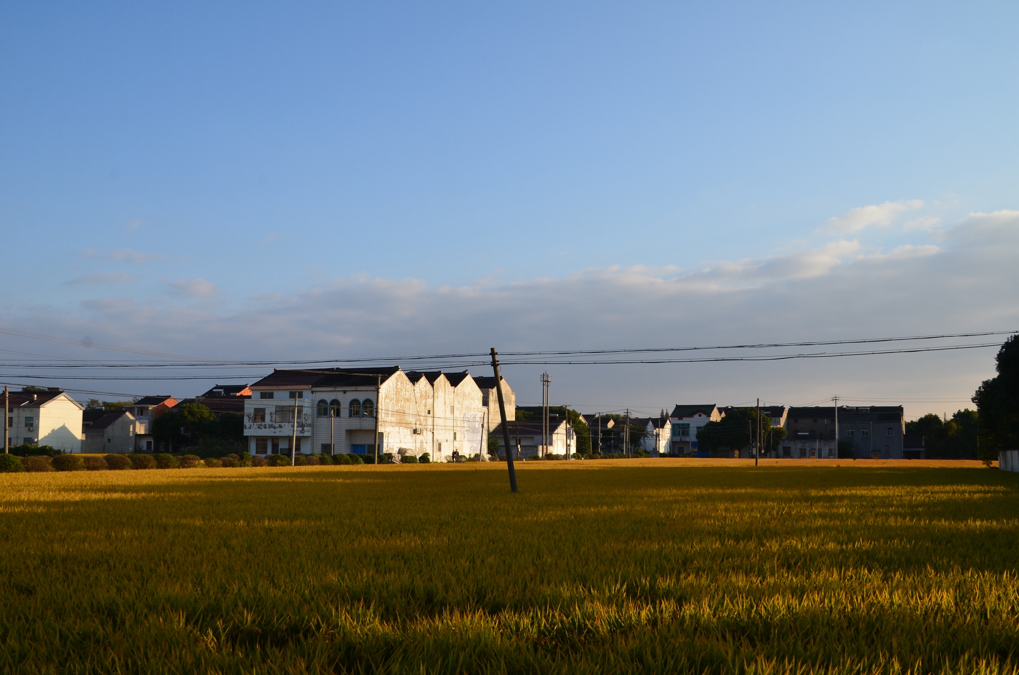 DSC_8271_副本.jpg