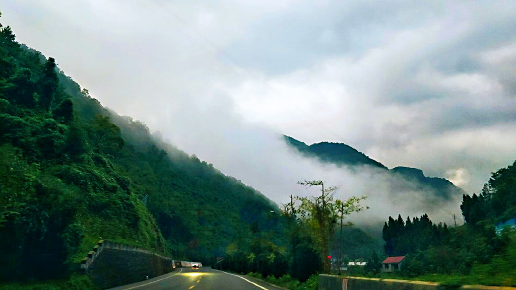 DSC_2355副本.jpg
