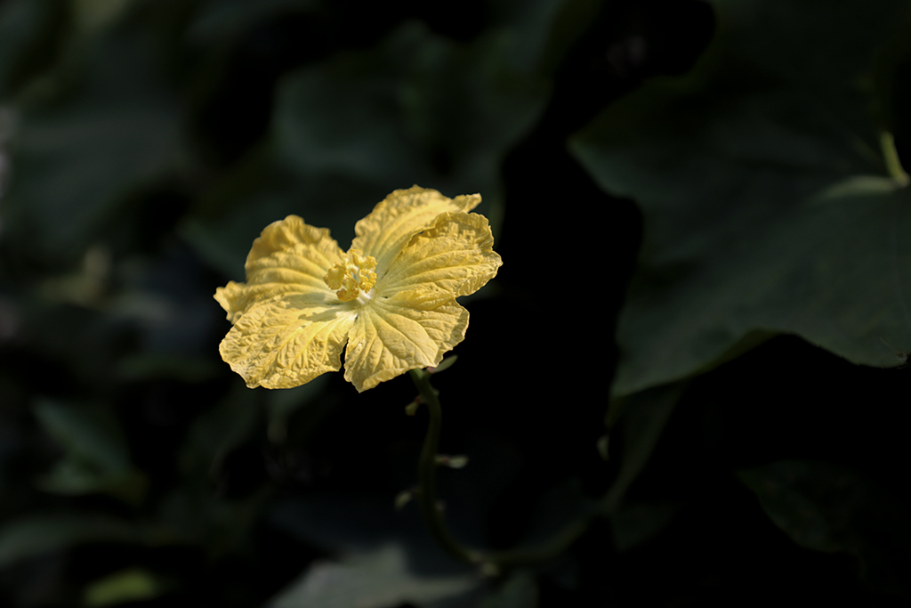 IMG_6167副本.jpg