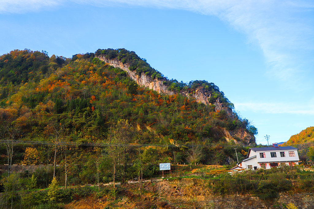 IMG_6933副本.jpg