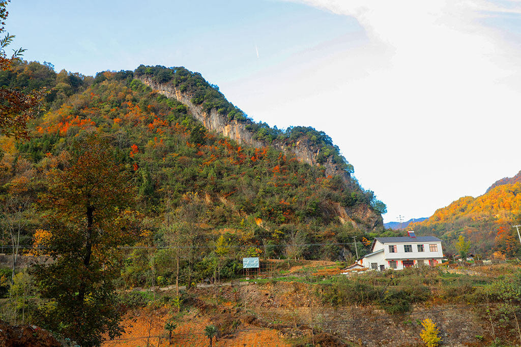 IMG_6935副本.jpg