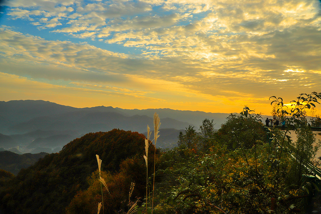 IMG_6581副本.jpg