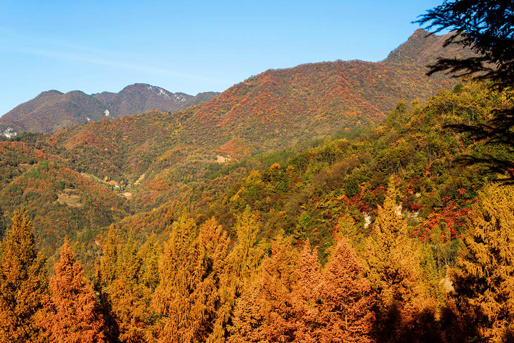 IMG_6798副本.jpg
