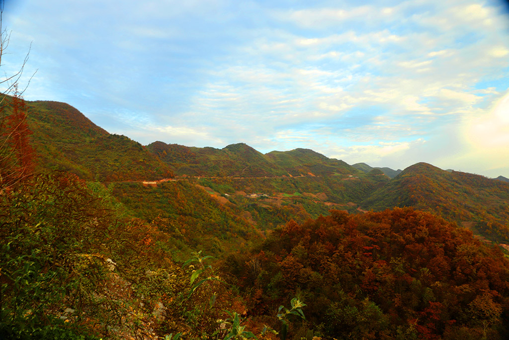 IMG_6578副本.jpg
