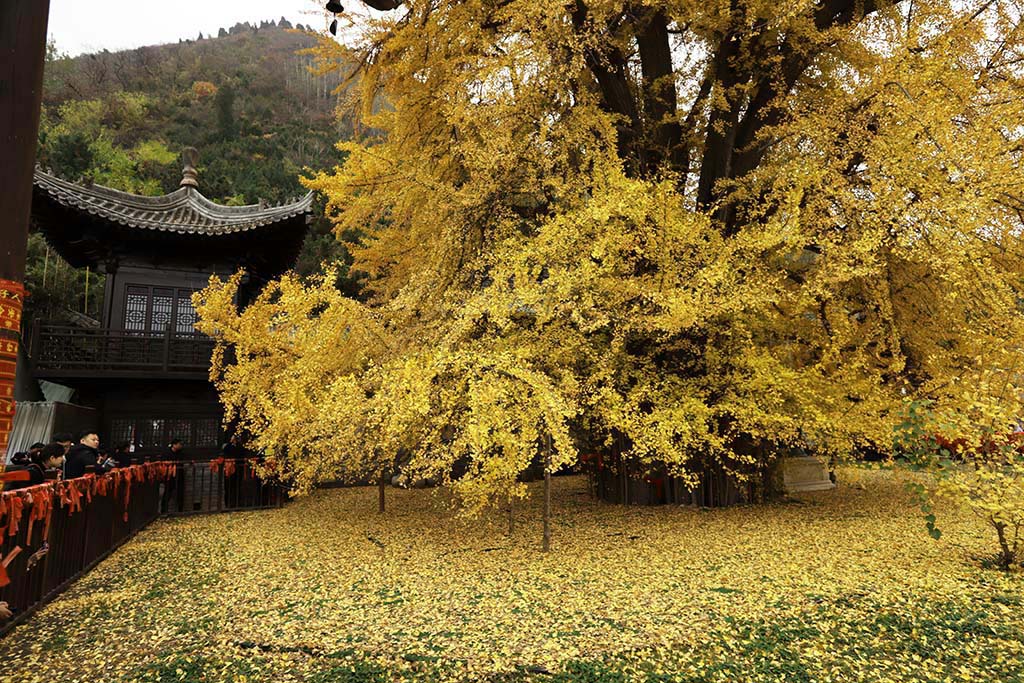 IMG_7145副本.jpg
