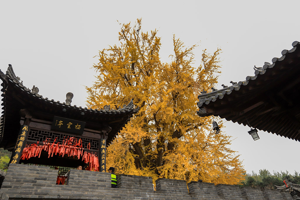 IMG_7153副本.jpg