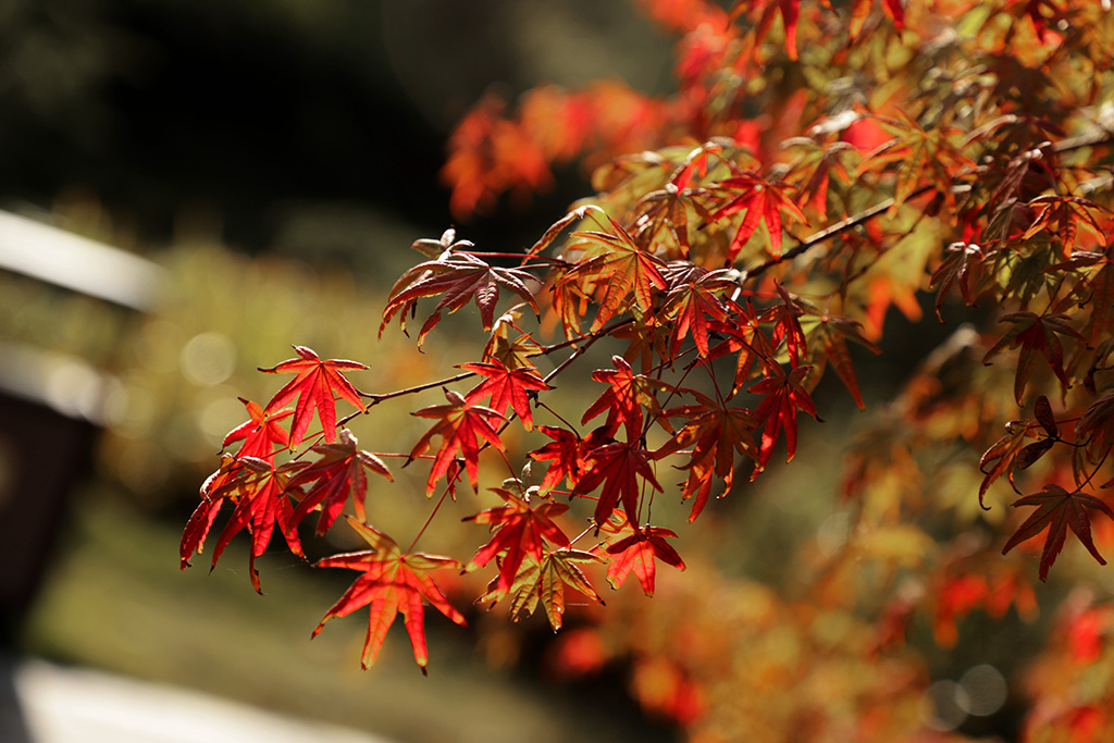 IMG_6521副本.jpg