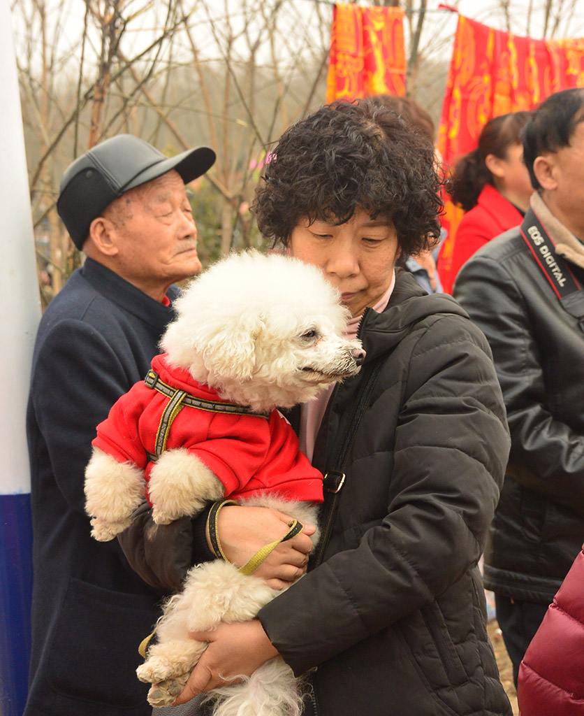 DSC_0608副本.jpg