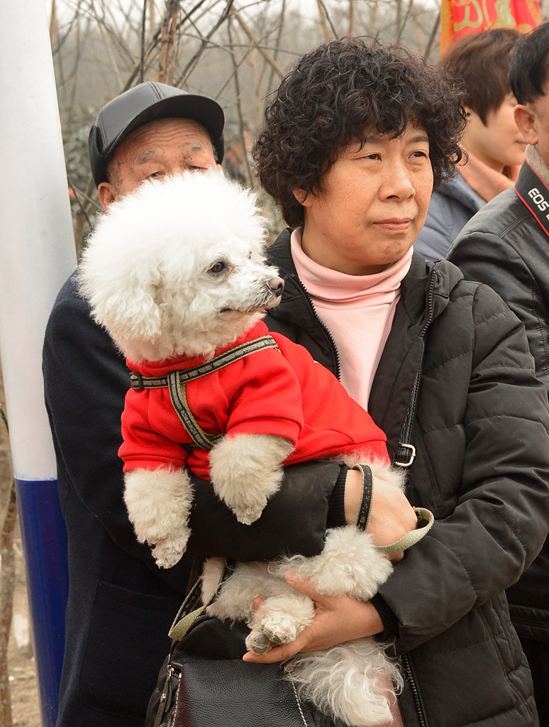 DSC_0609副本.jpg