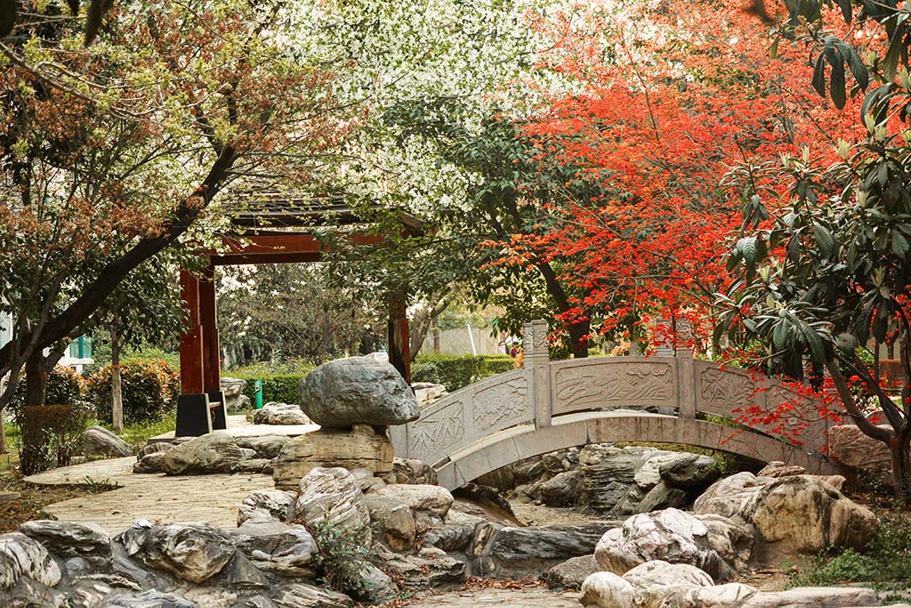 DSC_0911副本.jpg