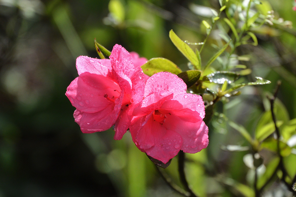 DSC_1320副本.jpg