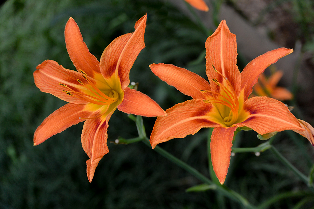 DSC_1359副本.jpg