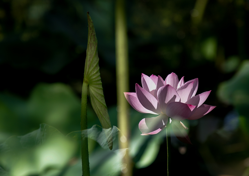 IMG_9049副本.jpg