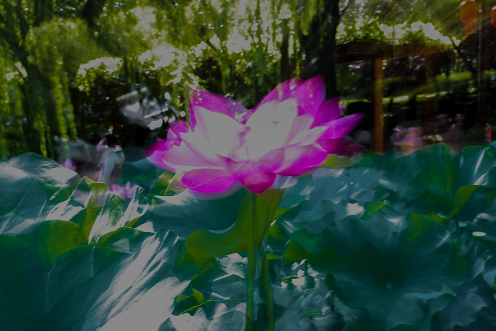 IMG_9063副本.jpg