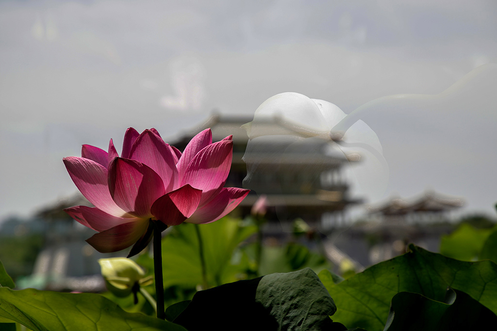 IMG_9095副本.jpg