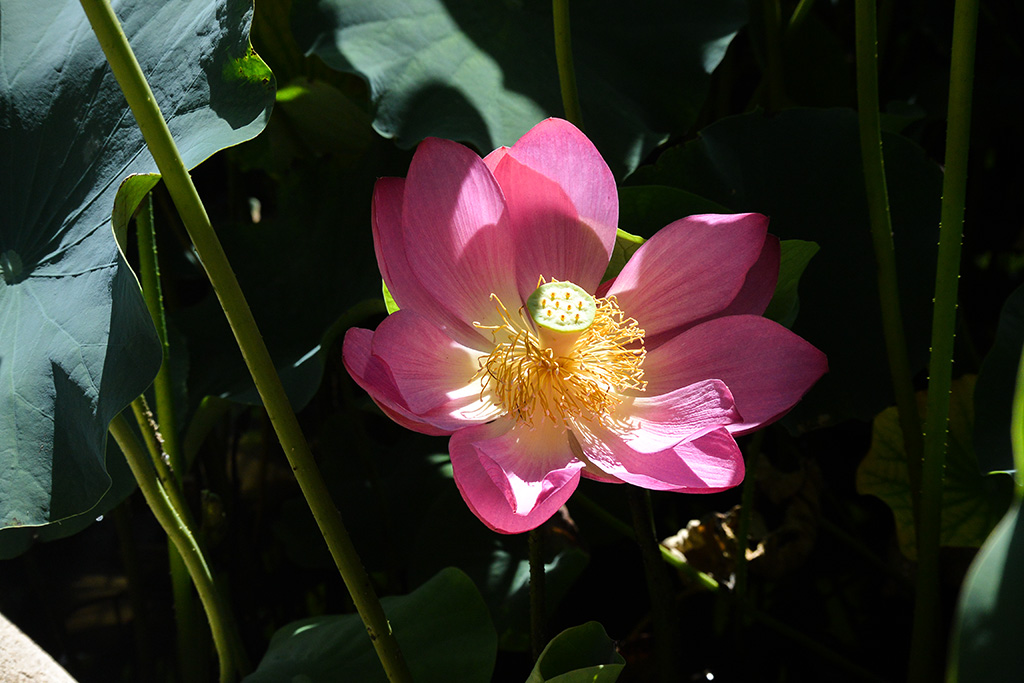 DSC_1491副本.jpg