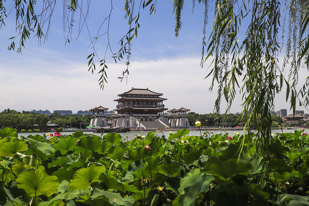 IMG_9082副本.jpg