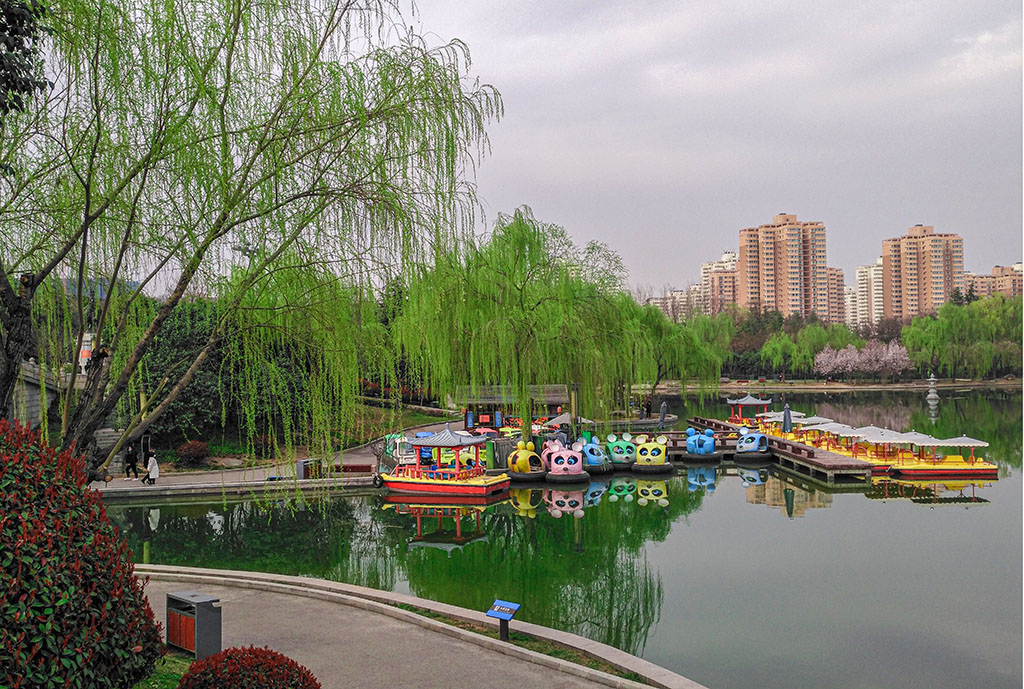 IMG_20200312_162549副本.jpg