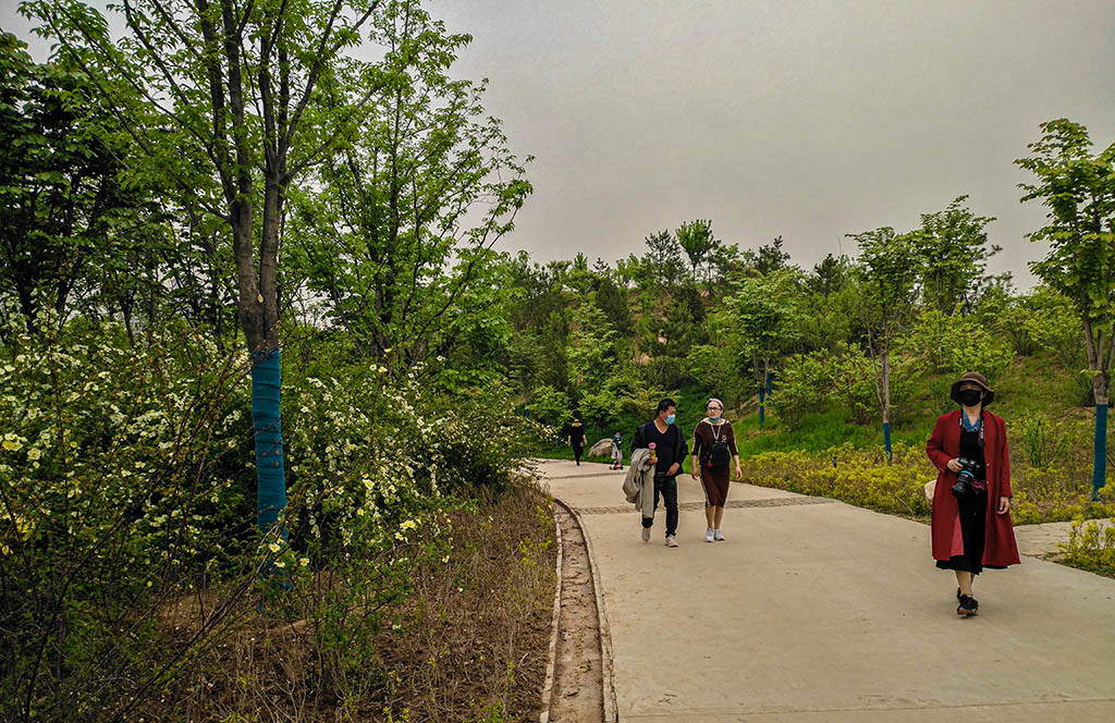 IMG_20200413_145554副本.jpg