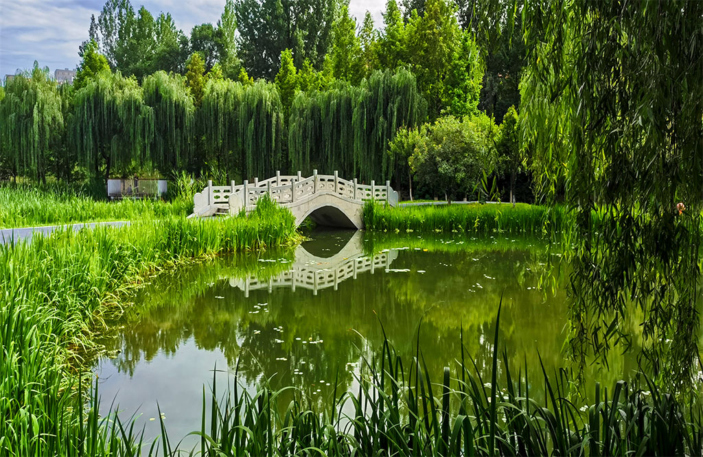 IMG_20210618_164401副本.jpg
