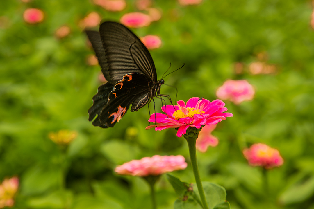 IMG_3189副本.jpg