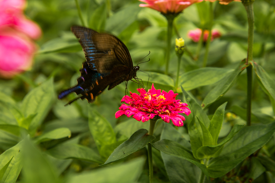 IMG_3192副本.jpg
