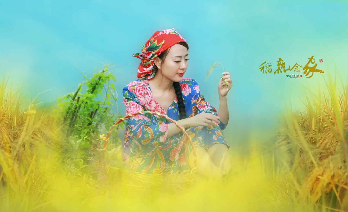 稻熟念家1.jpg