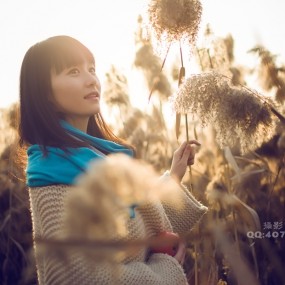芦苇荡