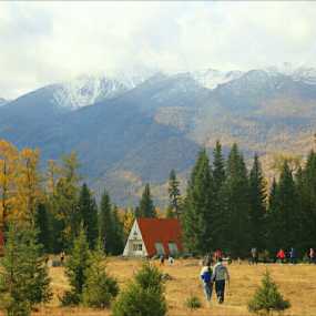 风景