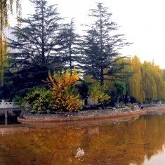 初冬长乐公园