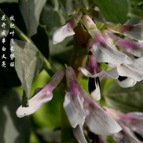 自己做的桌面