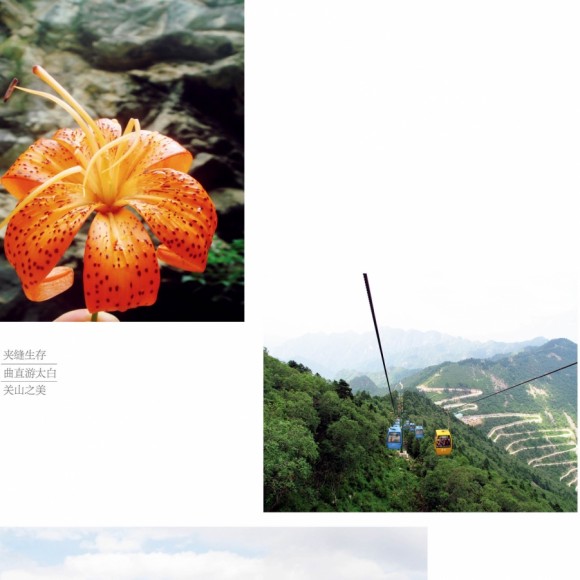 李佳邹作品