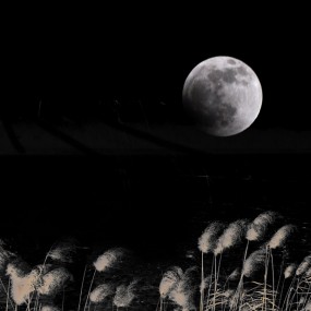 夜思。。