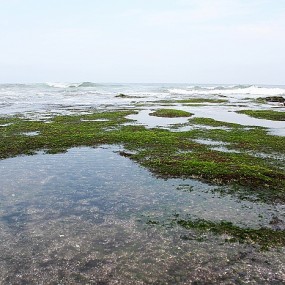 印度洋的海