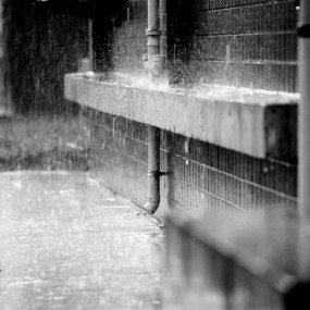 雨时节