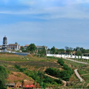 白鹿原美景