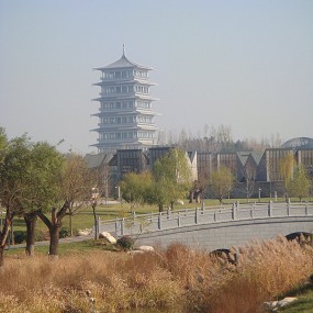 冬日浐灞美景