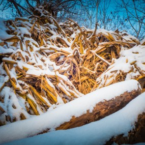 雪村