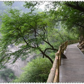 太平森林公园