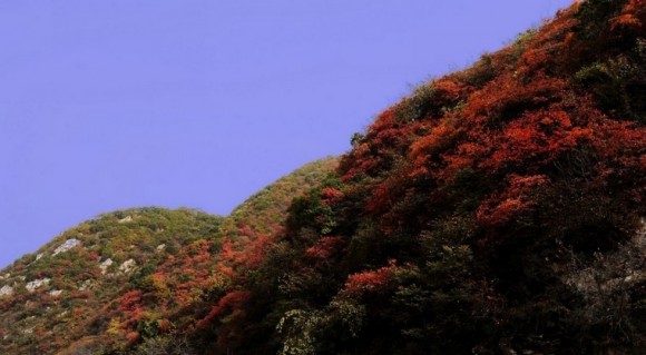 秋天里的秦岭