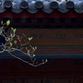 报春