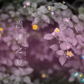 泡沫之夏