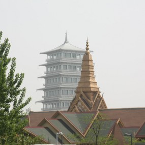 微观世园