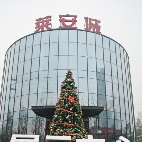 白雪与圣诞树