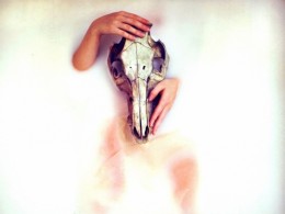 Sarah Ann Loreth