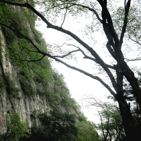 风景